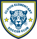 Club crest