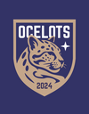 Club crest