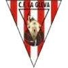 Club crest