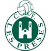 Club crest