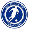 Club crest