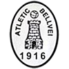 Club crest