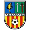Club crest