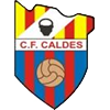 Club crest