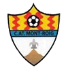 Club crest