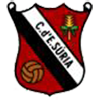 Club crest