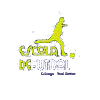 Club crest