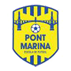 Club crest