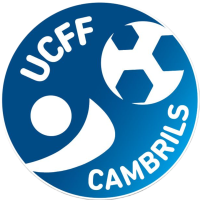 Club crest