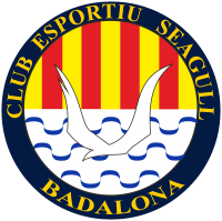 Club crest