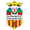 Club crest