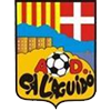 Club crest