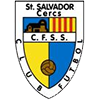 Club crest