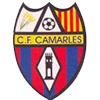 Club crest