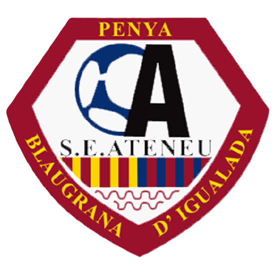 Club crest