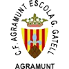 Club crest
