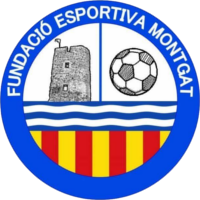 Club crest