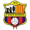 Club crest