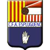 Club crest