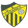 Club crest