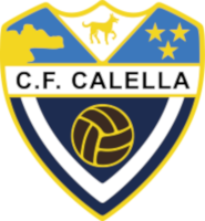 Club crest
