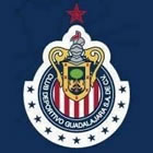 Club crest