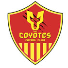 Club crest