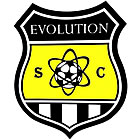 Club crest