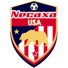 Club crest