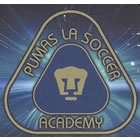 Club crest