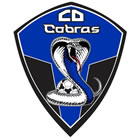 Club crest