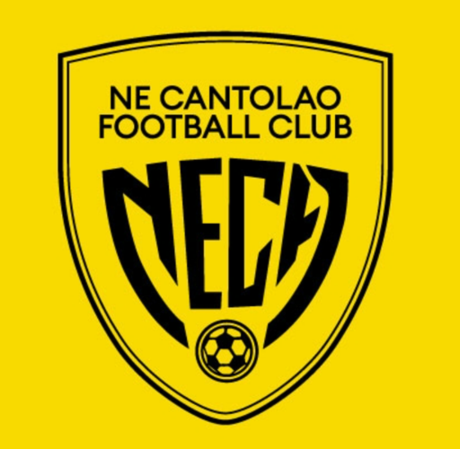 Club crest