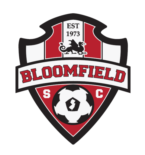 Club crest