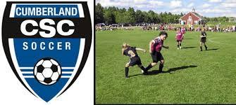 Club crest