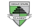Club crest