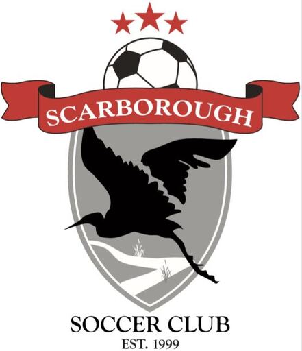 Club crest