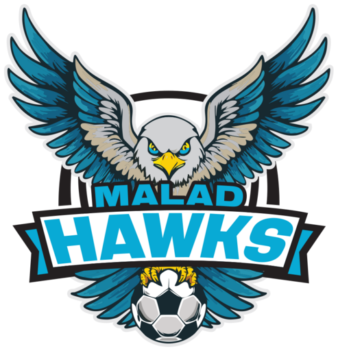 Club crest