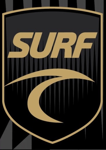 Club crest