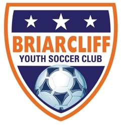 Club crest