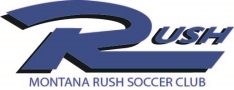 Club crest