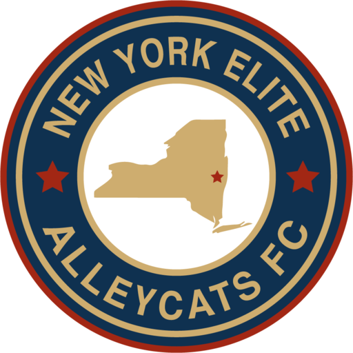 Club crest
