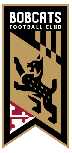 Club crest