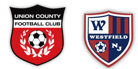 Club crest