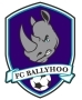 Club crest