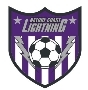 Club crest