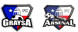 Club crest