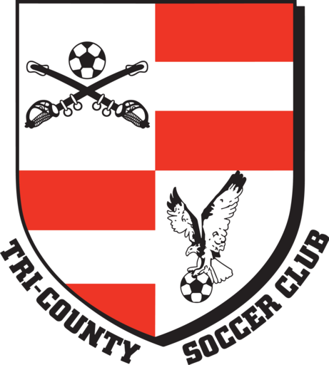 Club crest