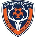 Club crest