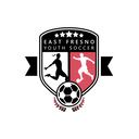 Club crest