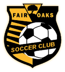 Club crest